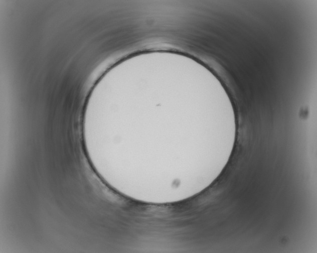 X0000113761191200910211202