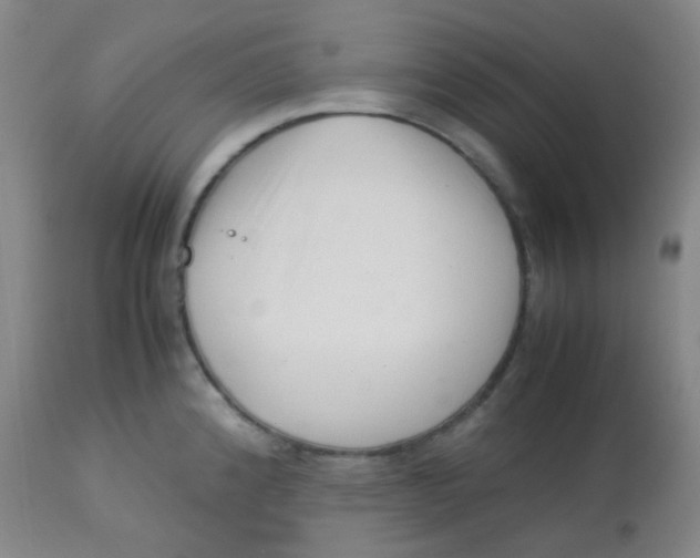 X0000113761192200910211202