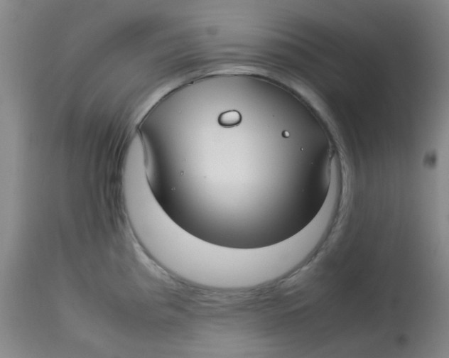 X0000113761193200910211202