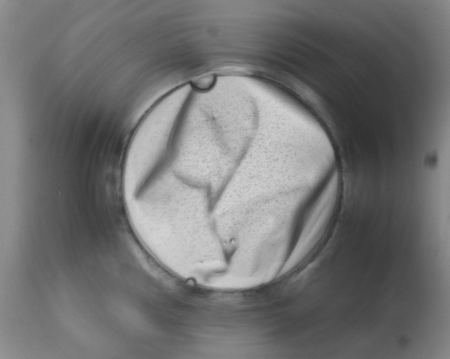 X0000113761194200910211202