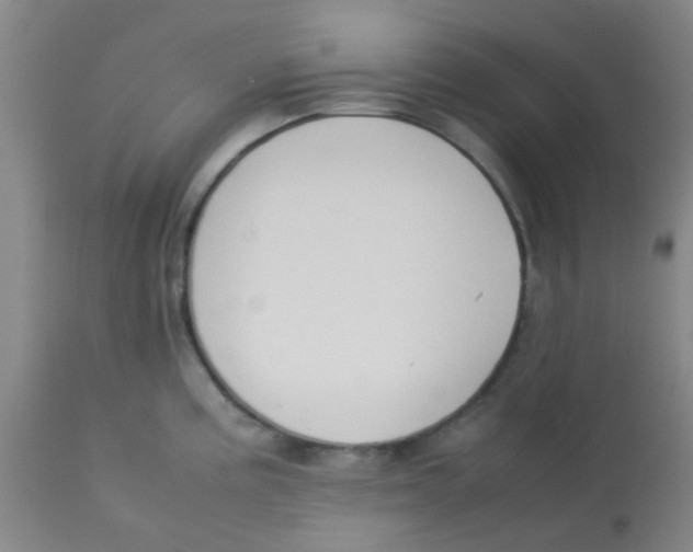 X0000113761195200910211202