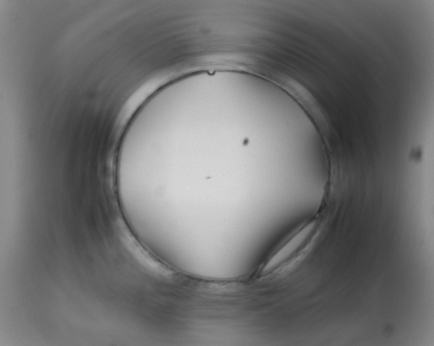 X0000113761196200910211202