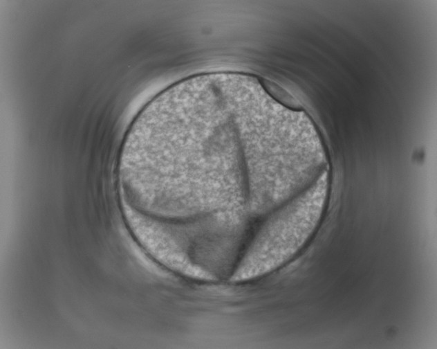 X0000113761197200910211202