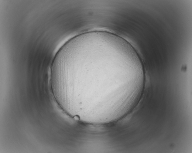 X0000113761198200910211202