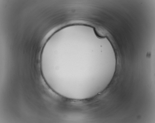 X0000113761199200910211202