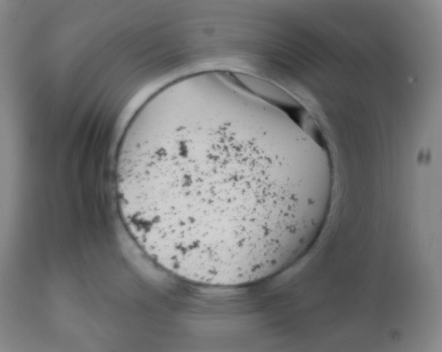 X0000113761200200910211202