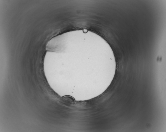 X0000113761201200910211201