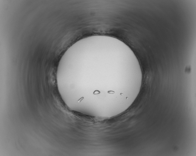 X0000113761202200910211201