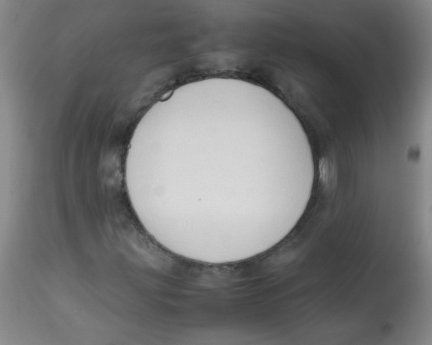 X0000113761203200910211201