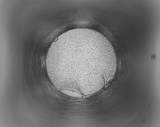 X0000113761204200910211201