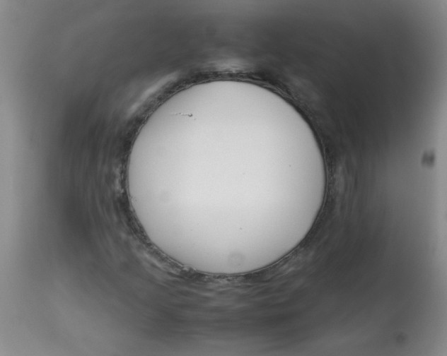 X0000113761205200910211201