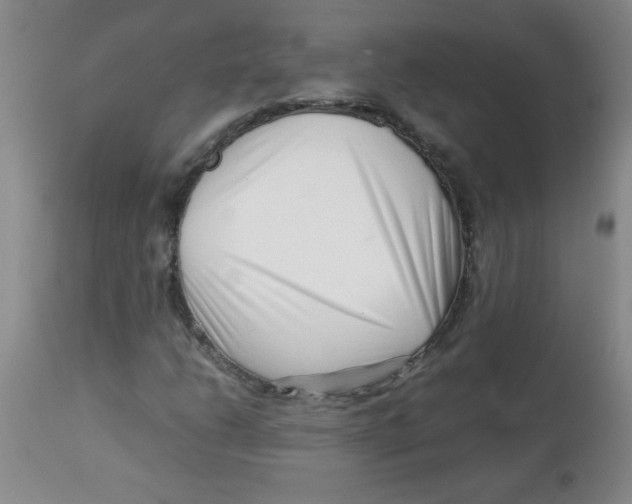 X0000113761206200910211201