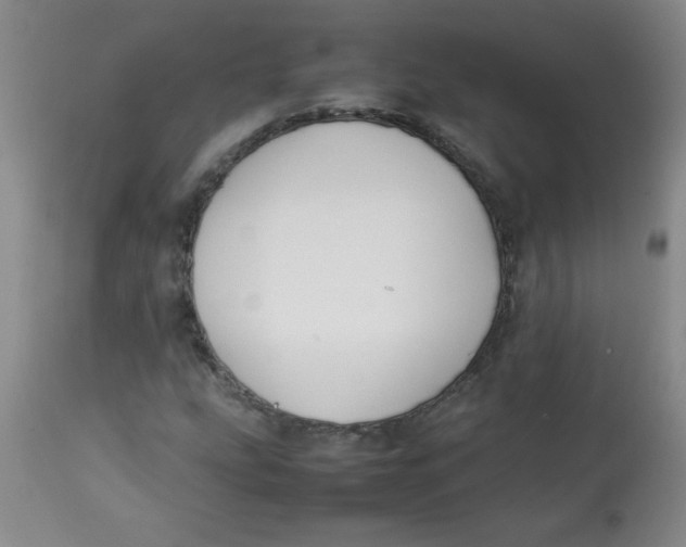 X0000113761207200910211201