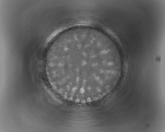 X0000113761208200910211201