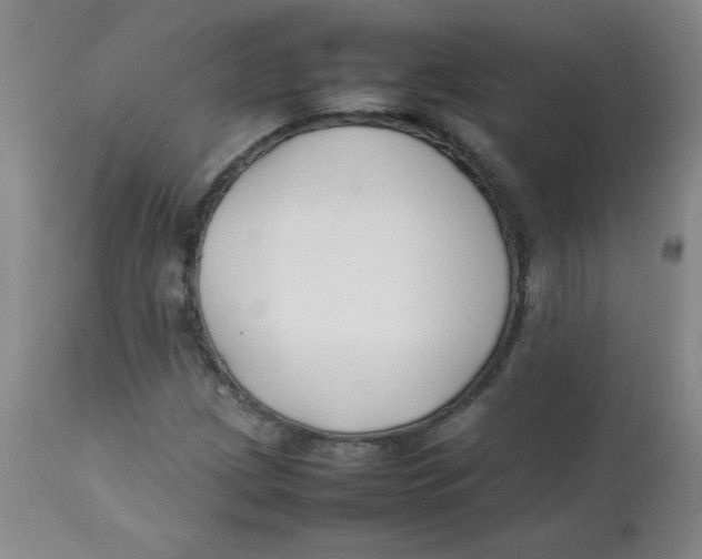 X0000113761209200910211201