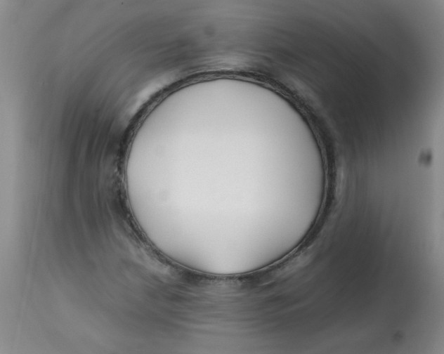 X0000113761210200910211201