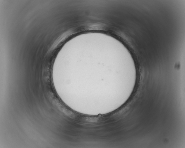 X0000113761211200910211201