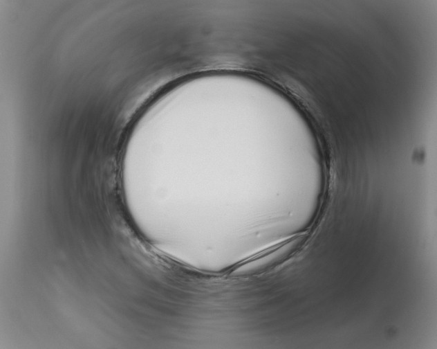 X0000113761212200910211201