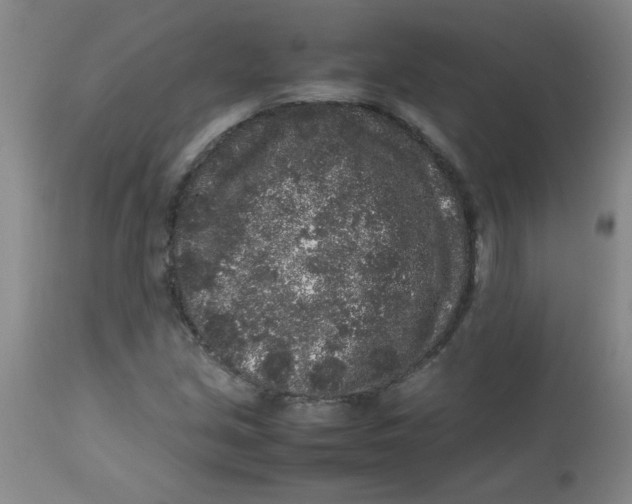 X0000113761213200910211201