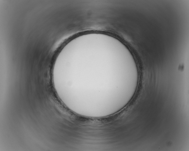 X0000113761214200910211201