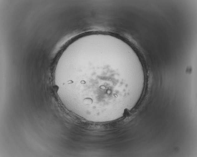 X0000113761215200910211201