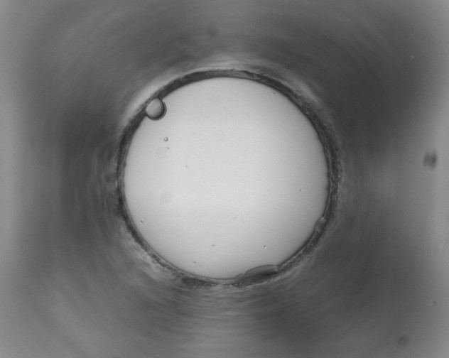 X0000113761216200910211201