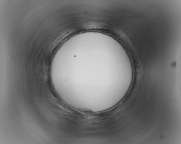 X0000113761217200910211201