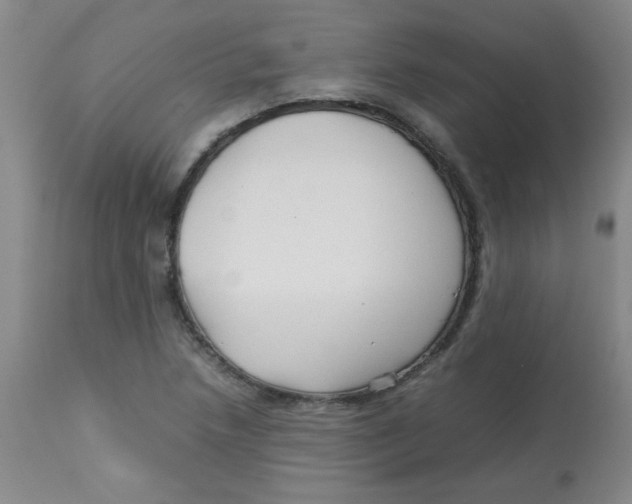 X0000113761218200910211201