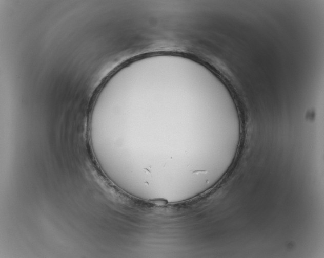 X0000113761220200910211201