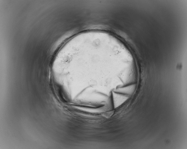 X0000113761221200910211201