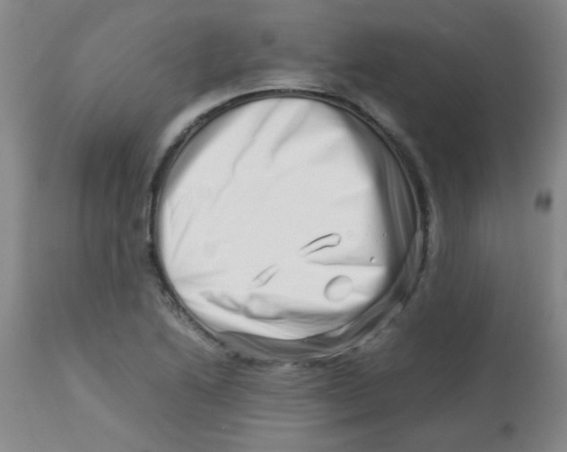 X0000113761222200910211201