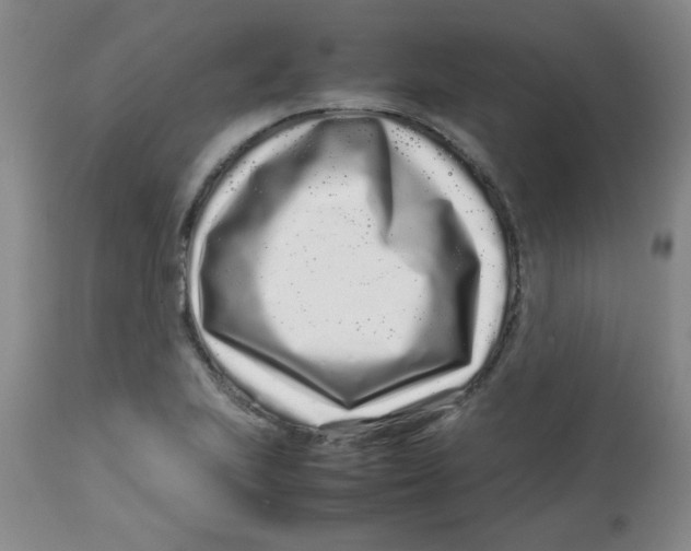 X0000113761223200910211201