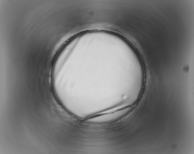 X0000113761224200910211201