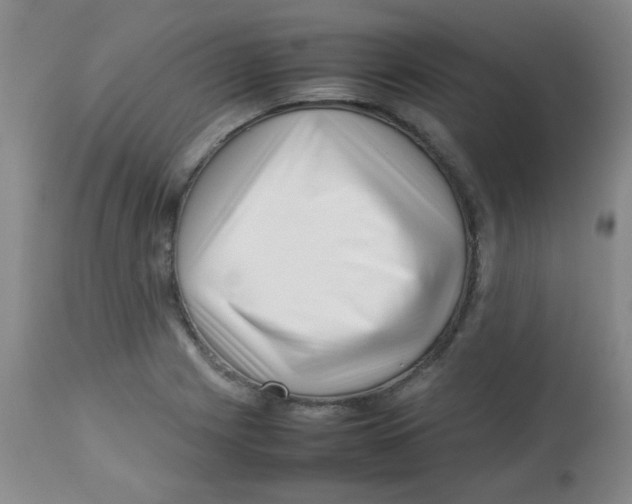 X0000113761225200910211201