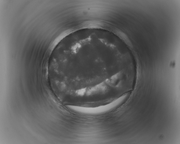 X0000113761226200910211201