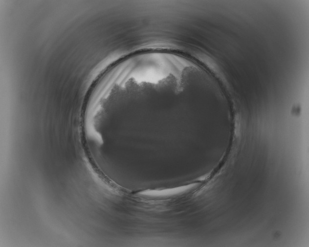 X0000113761229200910211201