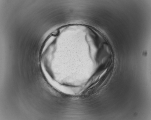 X0000113761230200910211201