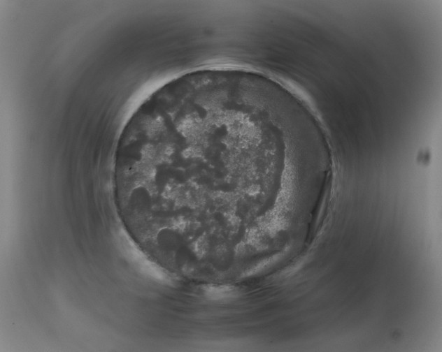 X0000113761231200910211201