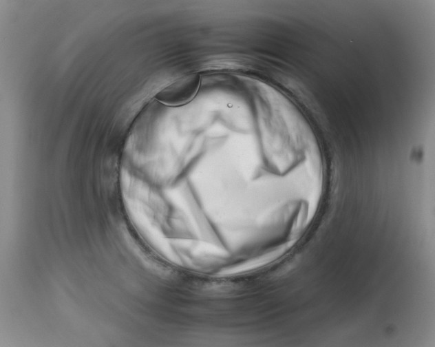 X0000113761233200910211202