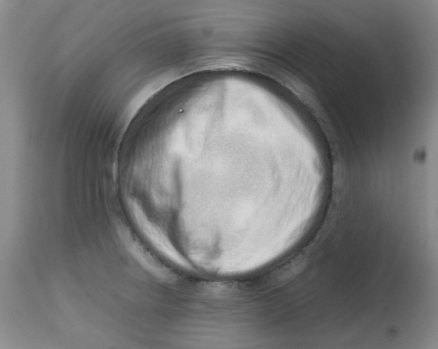 X0000113761234200910211202