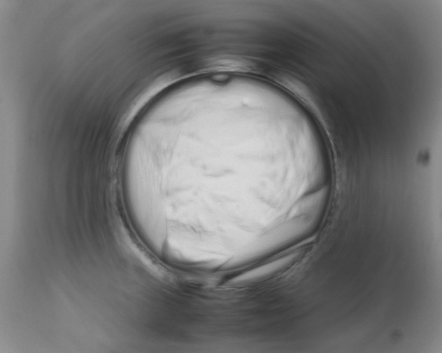 X0000113761235200910211202