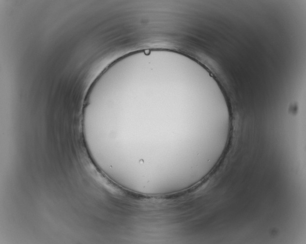 X0000113761236200910211202