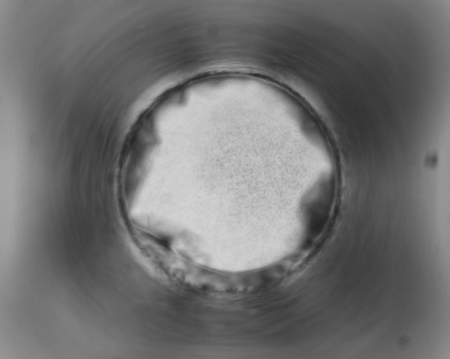 X0000113761237200910211202