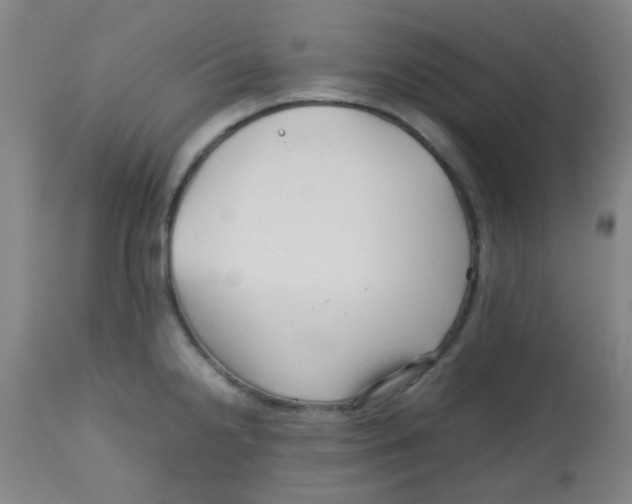 X0000113761238200910211202