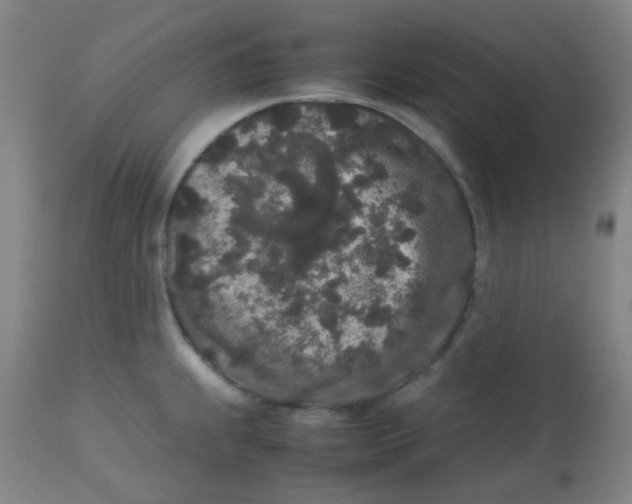 X0000113761239200910211202