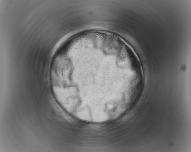 X0000113761240200910211202