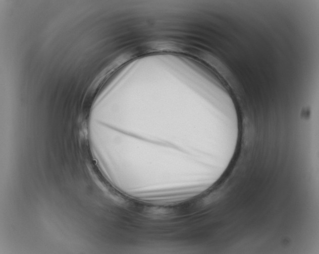 X0000113761241200910211202