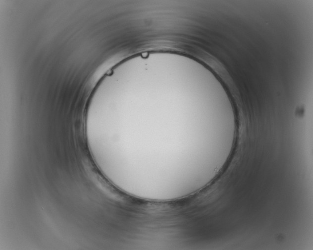 X0000113761242200910211202