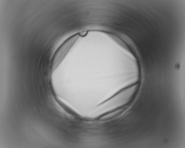 X0000113761244200910211202