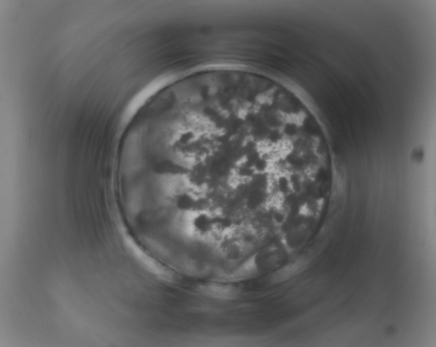 X0000113761245200910211202